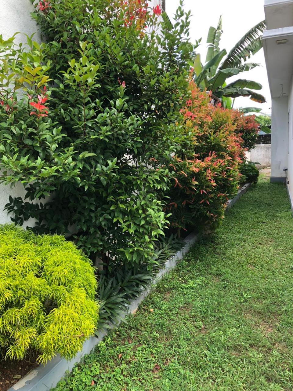 Vidushi Home Minuwangoda Ngoại thất bức ảnh